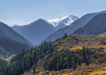 A striking contrast between the lush green foreground and the stark white peaks under a clear blue sky.