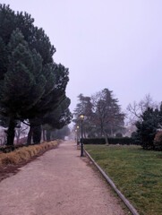 park, city, morning, fog, plants, morning, spain, lanterns, view