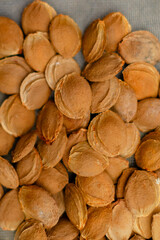 Top view of dried apricot kernels or seeds scattered on grey background. Natural organic nuts macro photography showing texture and details of apricot pits.