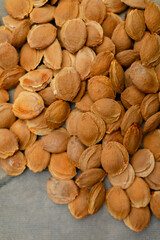 Top view of dried apricot kernels or seeds scattered on grey background. Natural organic nuts macro photography showing texture and details of apricot pits.