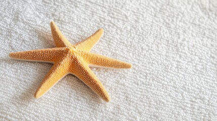 Starfish decoration on a textured towel background ideal for summer themed designs and beach inspired concepts with space for copy