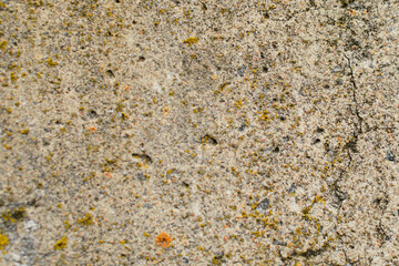 A close-up texture of an old concrete wall with small cracks, rough surface, and patches of moss and lichen.