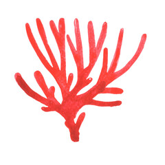 Red coral watercolor illustration for marine life, aquarium, ocean and summer holiday concept.