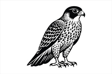 falcon vector, icon vector illustration,  falcon silhouette of a falcon  isolated on a white background, eps, png, svg,  vector,