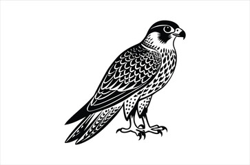 falcon vector, icon vector illustration,  falcon silhouette of a falcon  isolated on a white background, eps, png, svg,  vector,