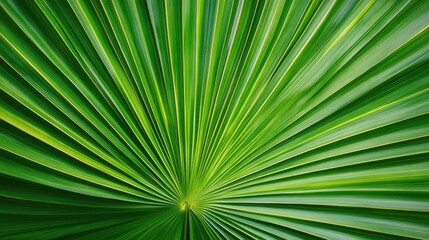 tropical palm leaf close-up vibrant green texture natural pattern background