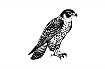 falcon vector, icon vector illustration,  falcon silhouette of a falcon  isolated on a white background, eps, png, svg,  vector,