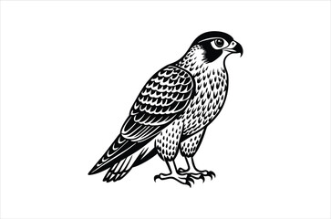 falcon vector, icon vector illustration,  falcon silhouette of a falcon  isolated on a white background, eps, png, svg,  vector,