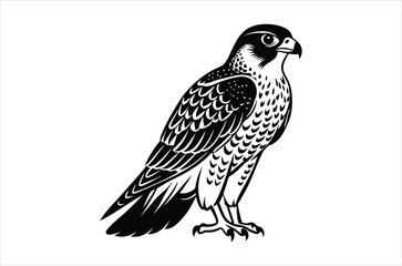 falcon vector, icon vector illustration,  falcon silhouette of a falcon  isolated on a white background, eps, png, svg,  vector,