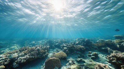Fototapeta premium Underwater scene of vibrant coral reef with sunlight illuminating the ocean floor and mixed species of clownfish swimming among the corals