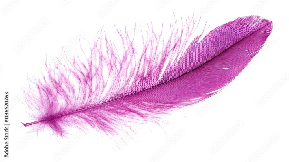 Poster vibrant magenta fluffy feather isolated on a clean white background showcasing intricate details and