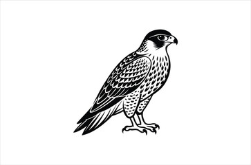 falcon vector, icon vector illustration,  falcon silhouette of a falcon  isolated on a white background, eps, png, svg,  vector,