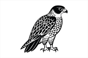 falcon vector, icon vector illustration,  falcon silhouette of a falcon  isolated on a white background, eps, png, svg,  vector,