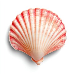 Fototapeta premium A beautifully detailed seashell showcasing intricate patterns and vibrant colors, perfect for beach-themed designs.