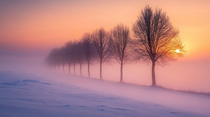 Foggy Winter Sunrise with Frosty Trees and Snow-Covered Landscape in Serene Atmosphere