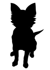 チワワのシルエット