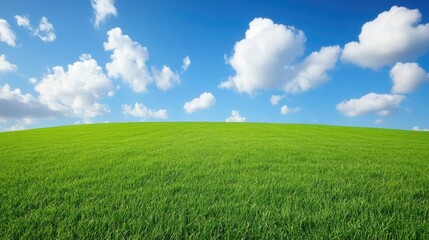 Vibrant green field under a bright blue sky with fluffy clouds in a serene landscape setting for nature and outdoor themes