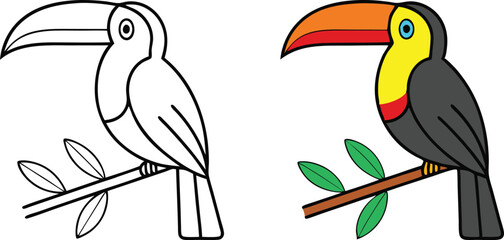 Toucan Bird Coloring Page Outline and Colored Version © Bappaditya Roy