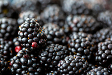 Blackberry berries. Fresh ripe blackberries as background, top view. Juicy ripe black berries in a heap. Texture of blackberries close-up.