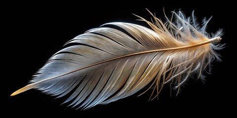 Obraz premium Single Dark Feather, Detailed Macro Photography, Bokeh Background, Nature Texture