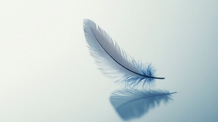 Obraz premium Blue feather gracefully floating on a soft white background casting a gentle shadow creating a serene and tranquil aesthetic.