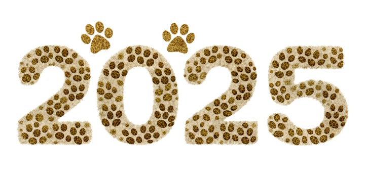 Golden New Year vector illustration with alphabet, numbers, and festive decorations text effect 2025