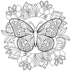 Butterfly and blooming flower hand drawn for adult coloring book