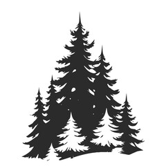 Spruce trees in the snowy forest. Vector black and white illustration.