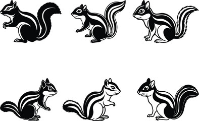 Chipmunk set silhouette vector illustration, Chipmunk line art vector, Chipmunk vector design