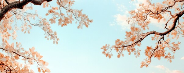 Relive cherished memories with a heartwarming home movie night Watch and share precious family videos featuring grandparents narrating the stories behind them, preserving generations of love