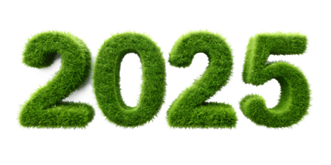 A 3D render of a green, grassy football field with the word '2025' in a stylish font, symbolizing the growth of ecology and a fresh start for the environment