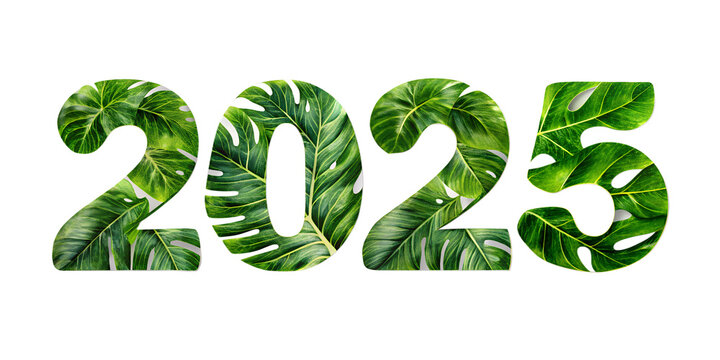 monstra leafs 2025 new text effects isolated on white background