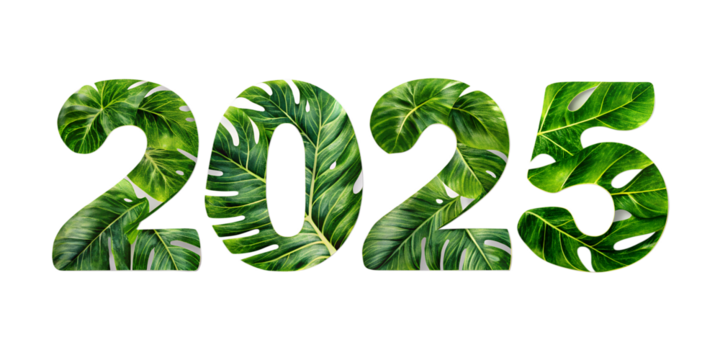 monstra leafs 2025 new text effects isolated on white background