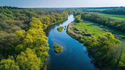 Bird's eye view of the river and green trees on the river bank