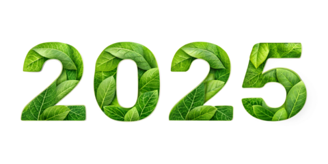 2025 new text effects isolated on white background