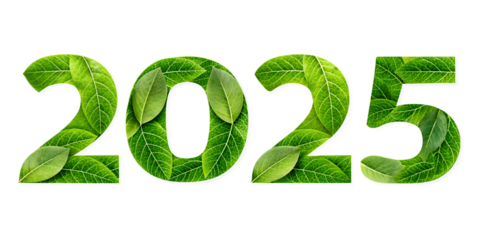 green leaf 2025 new text effects isolated on white background