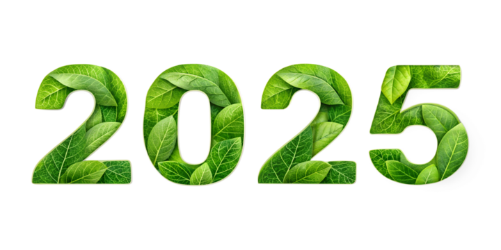 2025 new text effects isolated on white background