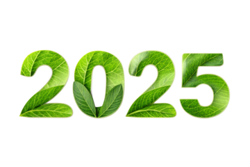 A vibrant 3D illustration of the word 'eco' in a leafy green font, symbolizing the harmony of nature and sustainable energy text 2025