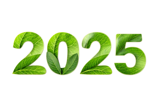 A vibrant 3D illustration of the word 'eco' in a leafy green font, symbolizing the harmony of nature and sustainable energy text 2025