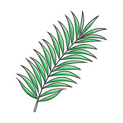 palm branches vector icon, easter vector illustration - simple illustration of palm branches perfect for logos, and easter-themed designs.
