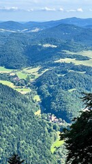 Vertical photo showcasing the breathtaking view from Mount Trzy Korony, overlooking the surrounding mountains in Pieniny National Park, Poland. Ideal for illustrating hiking and travel adventures. © Krystsina_Semianiuk