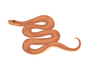 Coiled snake with smooth curves and simple patterns. Simple cartoon animal design. Good for reptile or nature illustrations. Vector illustration isolated on white background