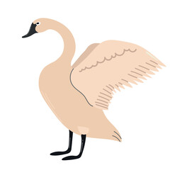 Trumpeter swan icon clipart avatar logotype isolated illustration