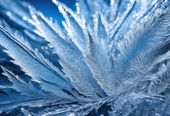 stunning frost patterns transparent ice showcasing intricate designs captivating textures, cold, surface, crystalline, winter, beauty, chill, flakes