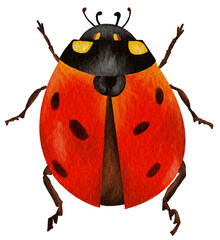 ladybug watercolor