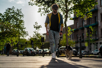 Man walking French Bulldog on urban street during sunset