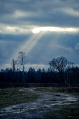 Sunbeams through clouds, leafless trees