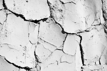 Fototapeta premium A close-up shot of a cracked black and white wall with visible cracks