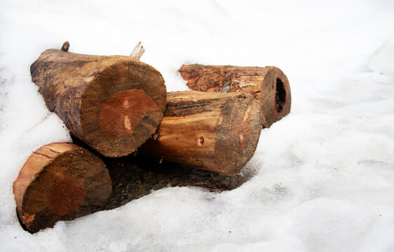 Logs covered with snow in winter forest creating cozy atmosphere