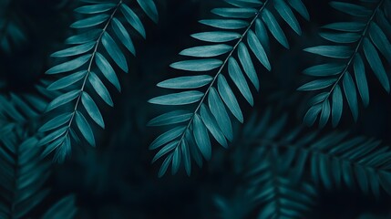 Lush Green Palm Leaves Pattern on a Clean White Background